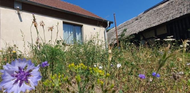 Bauernhaus, Landhaus Benz - 3 Zimmer, 200 m&sup2;, 185.000&euro; | Angebot:25721460