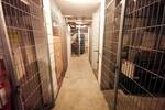Helle 1RW | Balkon | EBK | Tiefgarage | Ruhige Lage