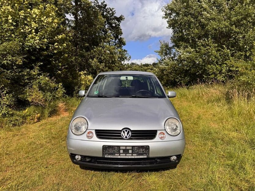 Lupo