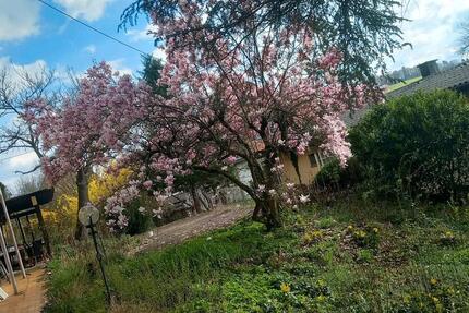 Schöne nette 2 Zi. Wohnung in Lustnau, nähe Wilhelmstraße zimmer