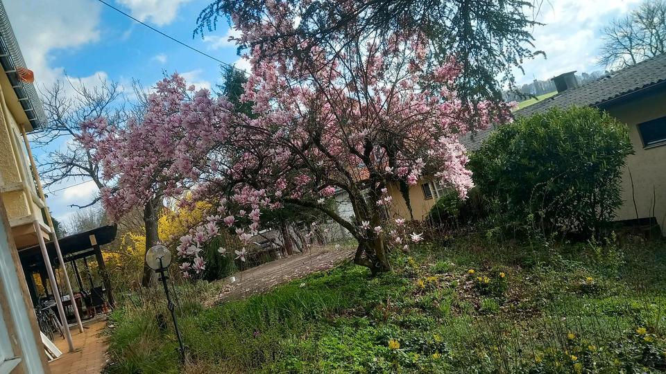 Schöne nette 2 Zi. Wohnung in Lustnau, nähe Wilhelmstraße zimmer