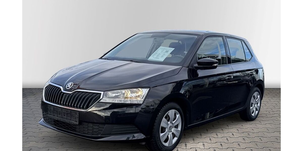 Skoda Fabia 17.365 km 11.880 &euro; Wurzen 04808
