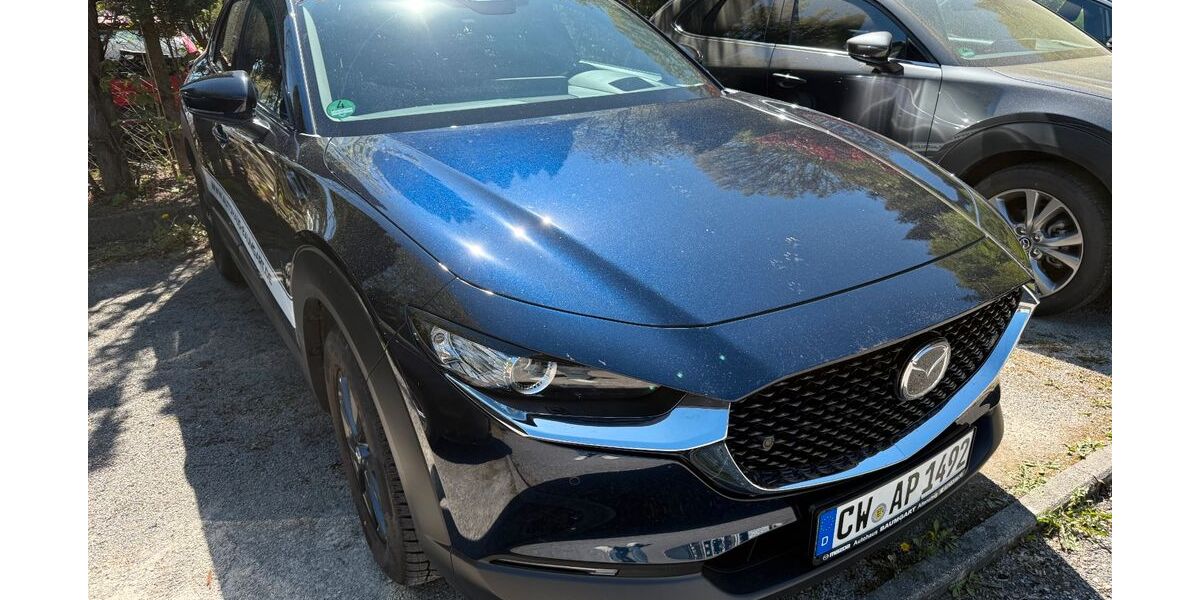 Mazda CX-30 3.500 km 27.590 &euro; Altensteig 72213