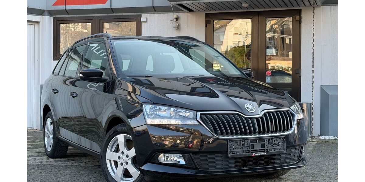 Skoda Fabia 32.000 km 14.490 &euro; Plettenberg 58840