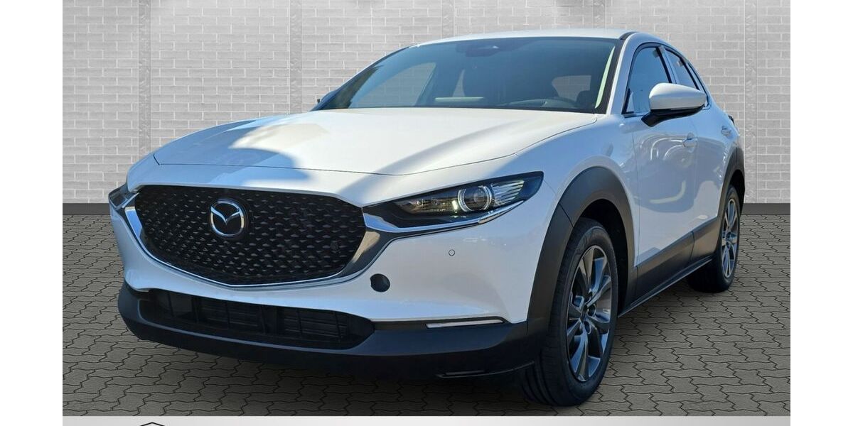 Mazda CX-30 1.100 km 30.995 &euro; Gotha 99867