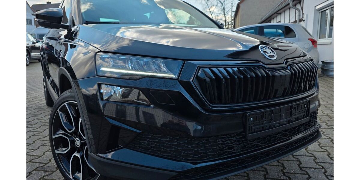 Skoda Karoq 46.600 km 27.999 &euro; Zwenkau 04442