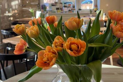 Besichtigung 12.12. 16-17 Uhr! Ruhe genießen im großen eigenen Garten mit Terrasse - ab sofort 3 zimmer