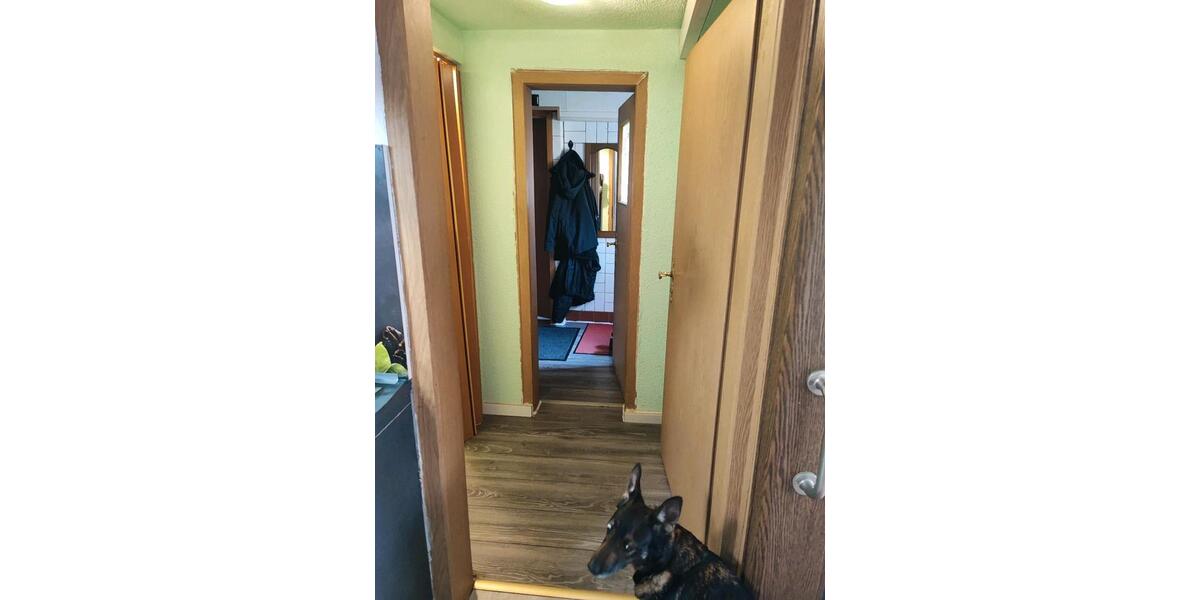 Doppelhaushälfte Magdeburg Großer Silberberg - 4 Zimmer, 116 m&sup2;, 260.000&euro; | Angebot:25417674