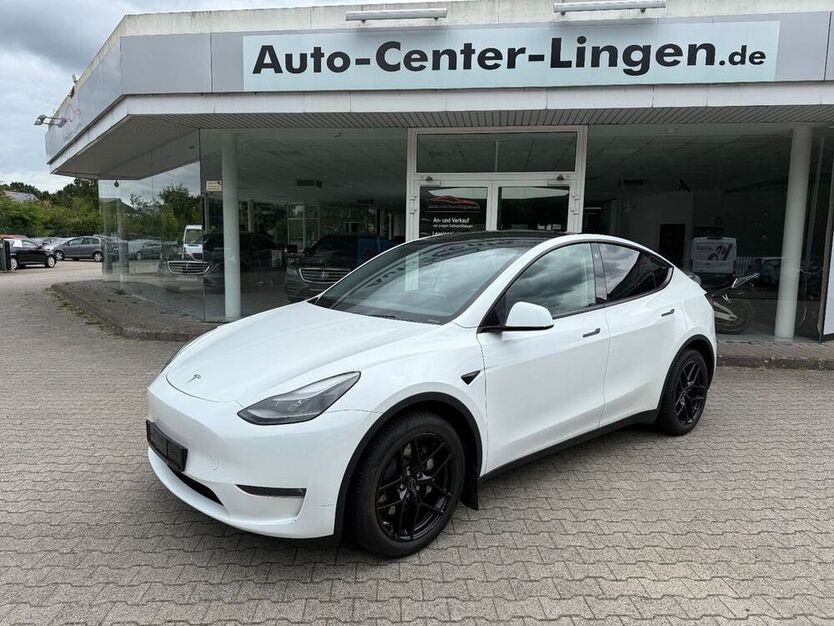 Model Y