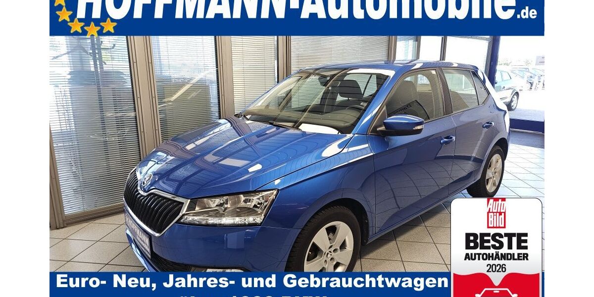 Skoda Fabia 79.800 km 10.900 &euro; Wolfsburg-Heiligendorf 38444