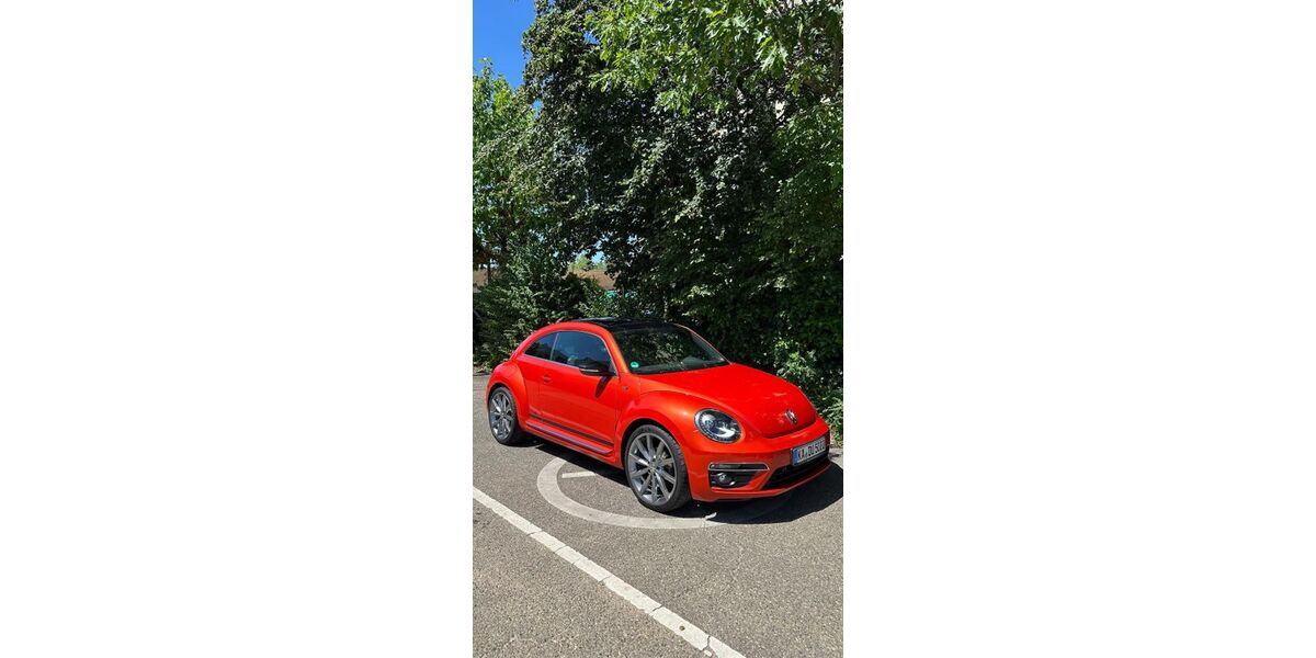 VW Beetle 99.000 km 12.499 &euro; Stutensee 76297