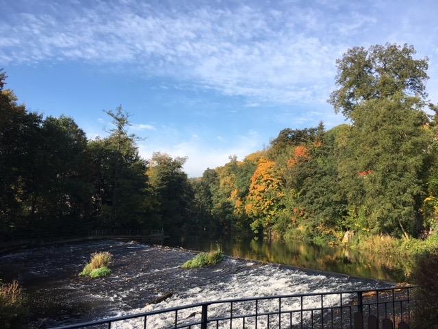 Erdgeschoßwohnung Zschopau - 2 Zimmer, 71 m&sup2;, 639&euro; | Angebot:25270640