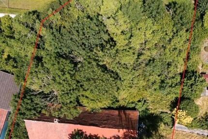 Haus Steinau an der Straße - 49.000&euro; | Angebot:25308185