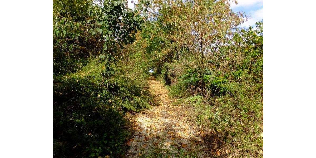 Etagenwohnung Brüggen - 4 Zimmer, 123 m&sup2;, 102.000&euro; | Angebot:25726221