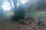 Bauernhaus, Landhaus Wald-Michelbach Michelbach - 1 Zimmer, 111 m&sup2;, 135.000&euro; | Angebot:26223164
