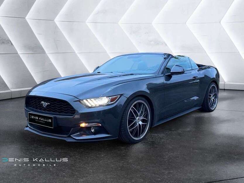 Mustang