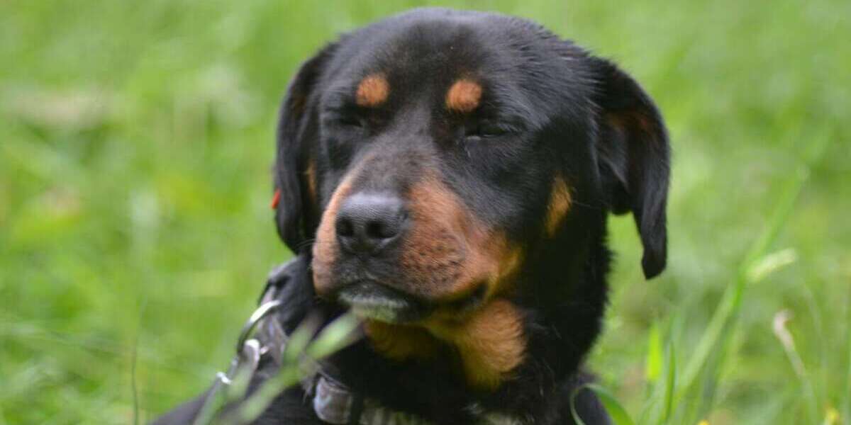 Etagenwohnung Kochel am See - 3 Zimmer, 99 m&sup2;, 1.240&euro; | Angebot:25125983