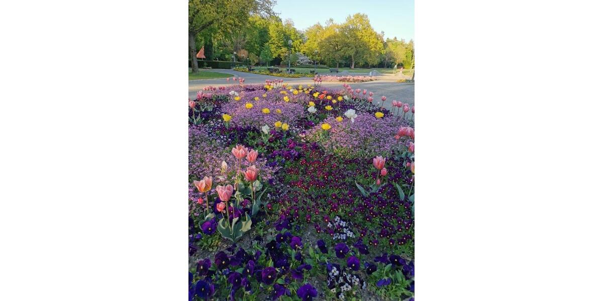 Grundstück Bad Füssing - 6.232.000&euro; | Angebot:18529670