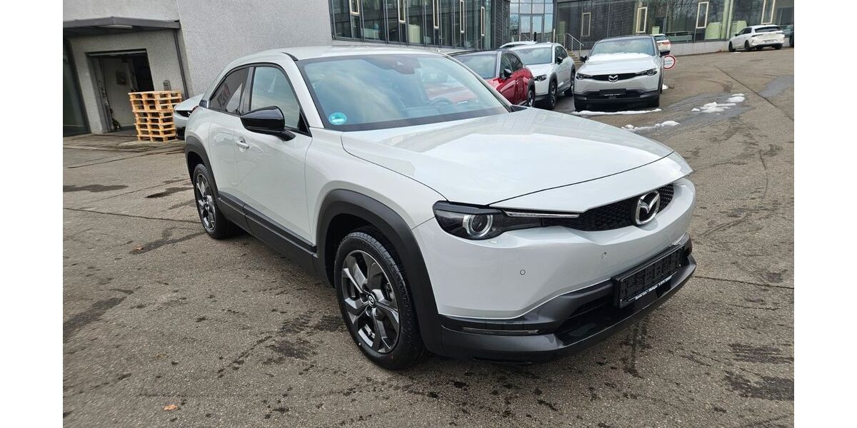 Mazda MX-30 40.087 km 12.399 € Mietingen 88487