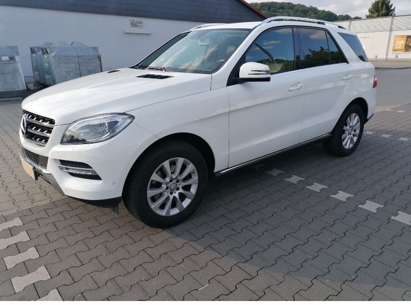 ML 250
