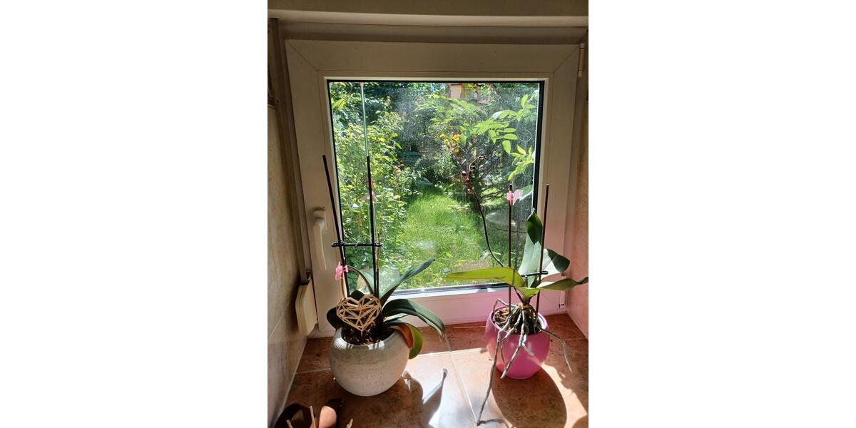 Reihenhaus Roßleben-Wiehe Wiehe - 3.5 Zimmer, 120 m&sup2;, 39.000&euro; | Angebot:26867253