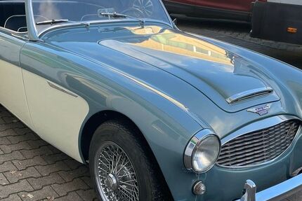 Austin Healey Andere