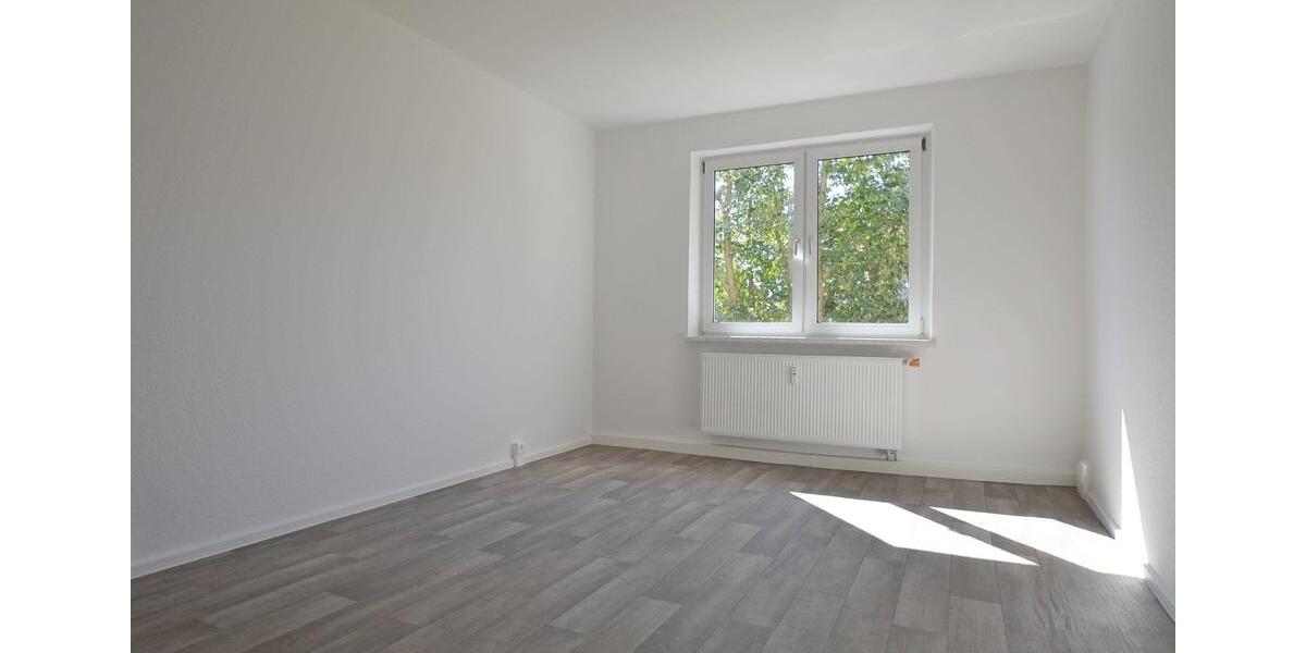 Neu sanierte 2-Raum-Wohnung im Erdgeschoss mit bodengleicher Dusche und Balkon 2 zimmer
