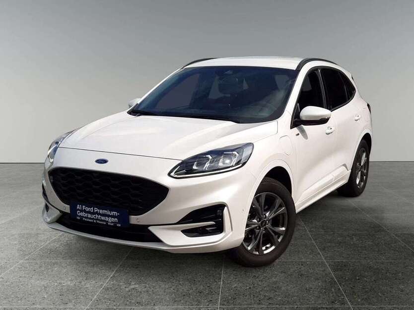 Kuga