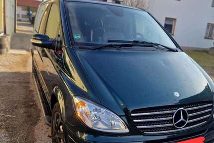 Mercedes Viano
