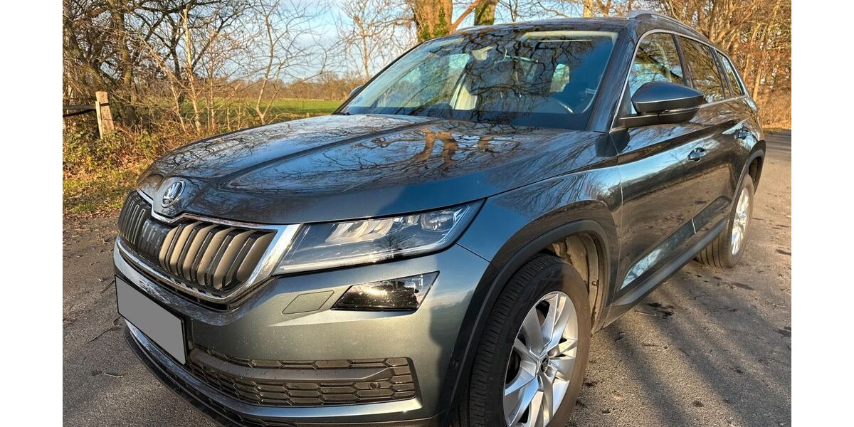Skoda Kodiaq 114.900 km 20.400 &euro; Lastrup 49688