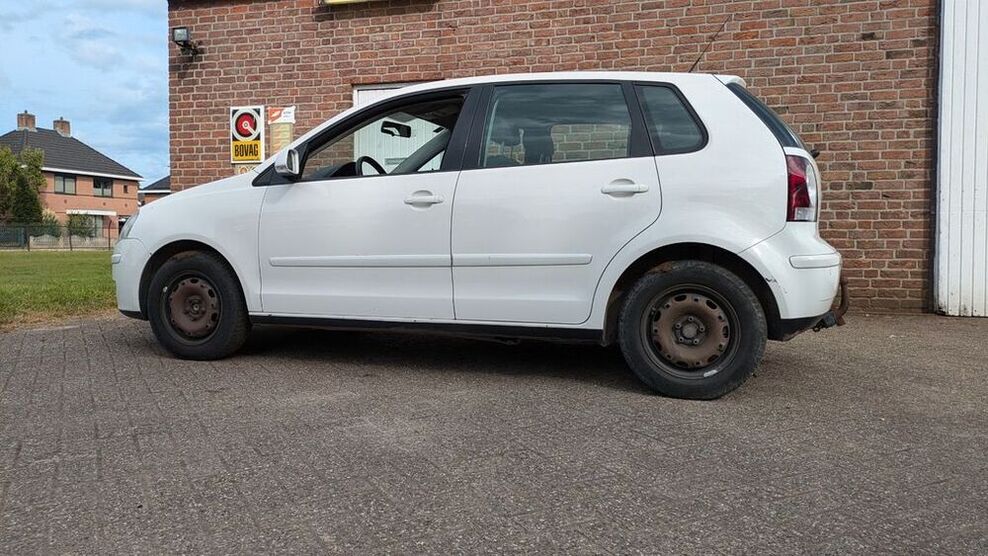 Polo
