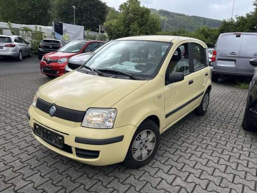 Panda