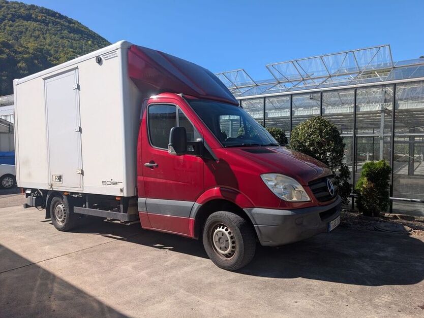 Sprinter
