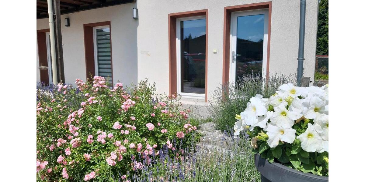 APARTMENT All In Paket 1 zimmer