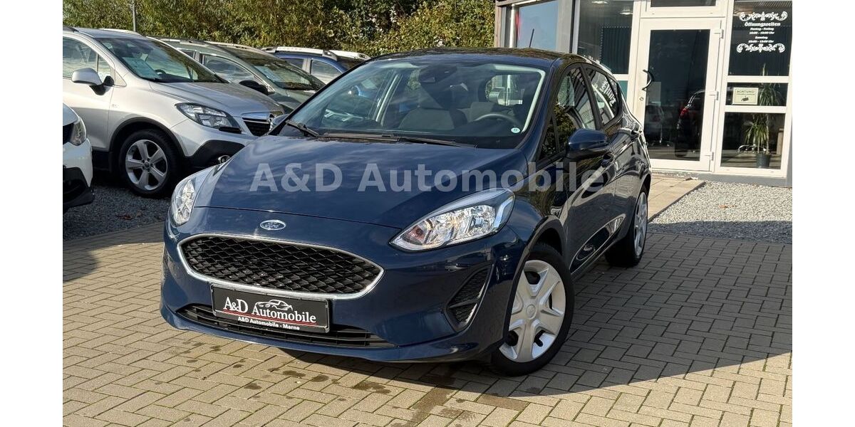 Ford Fiesta 69.386 km 10.490 &euro; Marne 25709