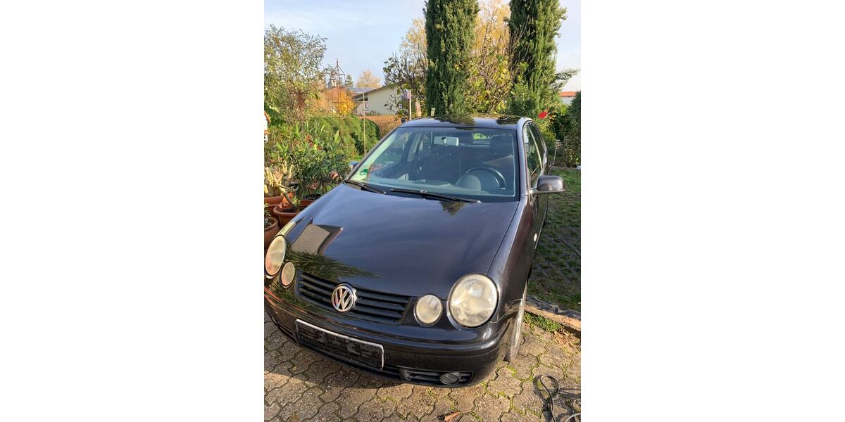 VW Polo 283.000 km 600 € Kirrweiler 67489