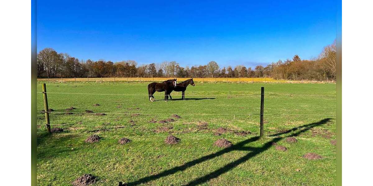 Einfamilienhaus Bocholt Feldmark - 9 Zimmer, 426 m&sup2;, 939.000&euro; | Angebot:26446645