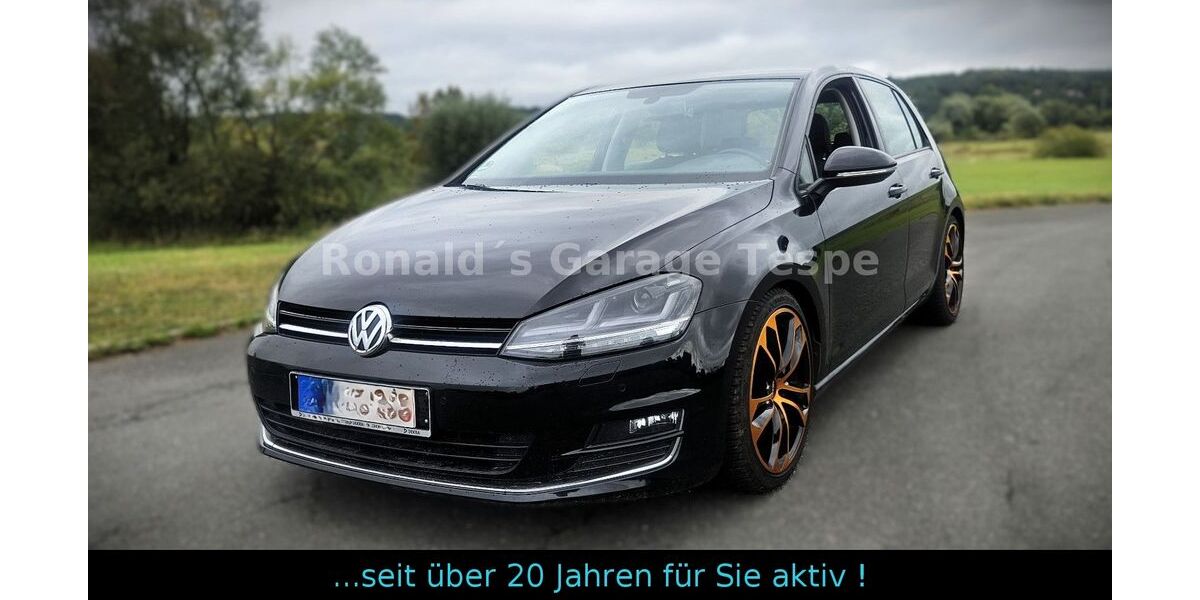 VW Golf 77.300 km 15.000 &euro; Tespe 21395