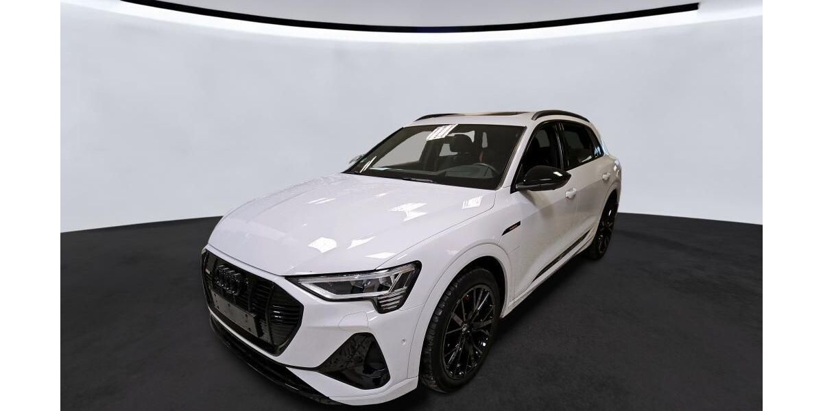 Audi e-tron 41.416 km 40.944 &euro; Hagen 58091