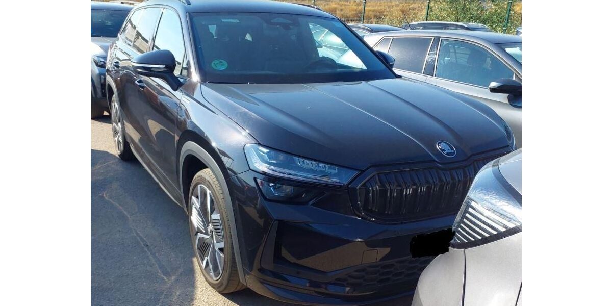 Skoda Kodiaq 24.783 km 40.980 &euro; Rüsselsheim 65428