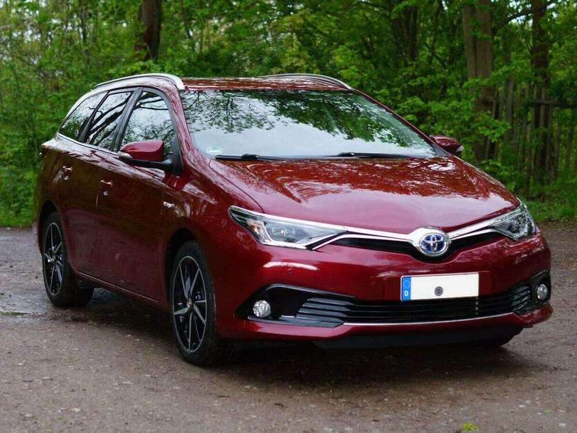 Auris