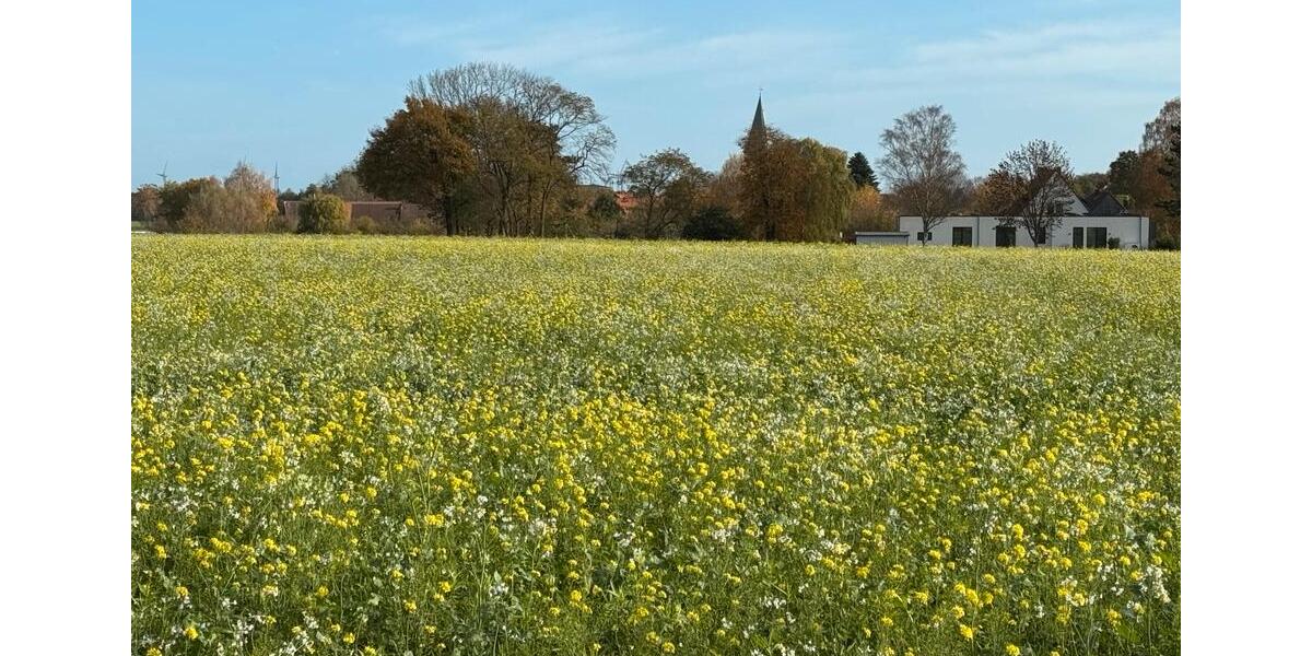 Einfamilienhaus Lüchow (Wendland) - 3 Zimmer, 100 m&sup2;, 239.000&euro; | Angebot:26252841