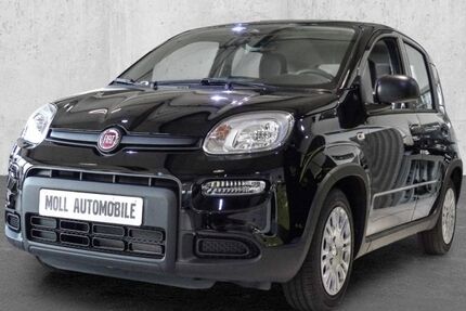 Fiat Panda 4.500 km 12.680 &euro; Euskirchen 53879