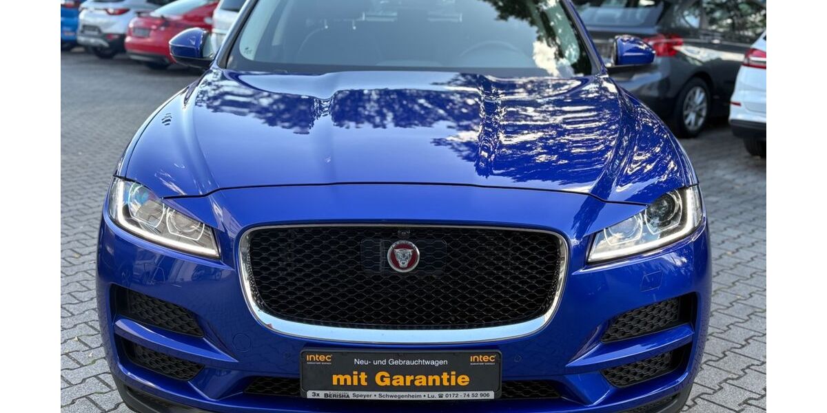 Jaguar F-Pace 165.000 km 22.890 € Speyer 67346