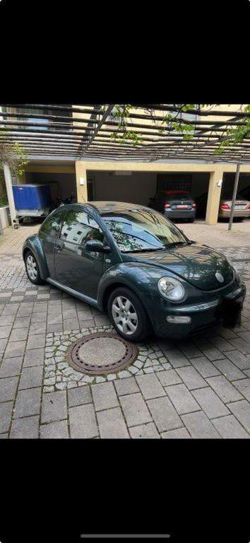 Beetle