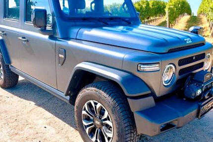 BAW 212 1.400 km 43.690 &euro; Wallertheim 55578