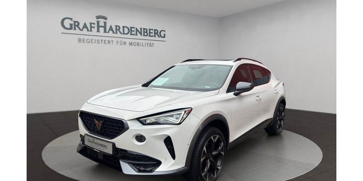 Cupra Formentor 24.600 km 26.555 &euro; Gengenbach 77723