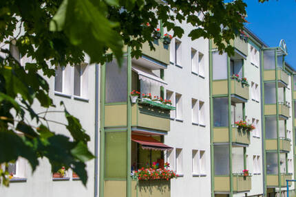 Wohnung Freiberg Freiberg West - 2 Zimmer, 46 m&sup2;, 319&euro; | Angebot:26029966