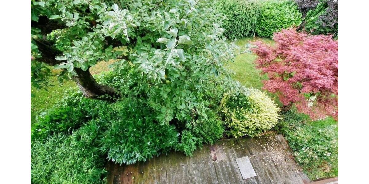 Einfamilienhaus Aulendorf - 4 Zimmer, 141 m&sup2;, 495.000&euro; | Angebot:25747079