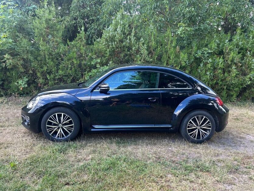 Beetle